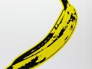 The Velvet Underground and Nico Self Titled 180g VINYL LP Peeling Banana Cover