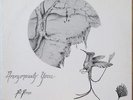 PARK PETERS Anonymously Yours LP Scarce Soft Rock/Electronic – Private Press