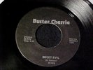 BUSTER CHERRIE RARE 1979 DETROIT PRIVATE PRESS HARD ROCK/HEAVY METAL 45 Hear