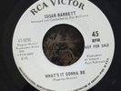 Susan Barrett What's It Gonna Be / It's no Secret