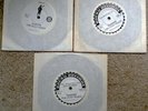 All 3 SAMPLER FOR DEAD HEADS 7