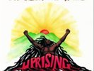 Bob Marley and The Wailers-Uprising Vinyl / 12