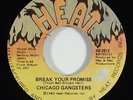 Chicago Gangsters 