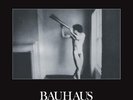Bauhaus - In The Flat Field BRONZE COLOURED vinyl LP PRE-SALE 26/10/18