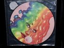 Black Moth Super Rainbow ?– Dandelion Gum Picture Disc Vinyl LP 2011 Graveface