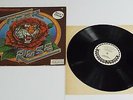Robert Hunter Tiger Rose Vinyl LP - EX