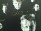 MADNESS   Mad Not Mad   VINYL LP signed