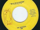Garage Rock - Badgers SOUL BIRD 39001 Wild wild rocker / Every shoemaker ? 1969
