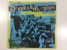 Dropkick Murphys 11 Short Stories Of Pain And Glory Lp Brwn Beer Bottle Vinyl.