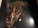 Wolves In The Throne Room: Two Hunters, Panopticon, Falls Of Rauros, Eneferens