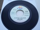VERY RARE USA PROMO  - JESSE JAMES - IF YOU WANT A LOVE AFFAIR - NEAR MINT