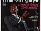 Marvin Gaye - I Heard It Through The Grapevine LP - Tamla DG Shrink