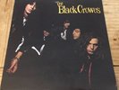 THE BLACK CROWES Shake Your Money Maker 1990 Def American Recordings Insert UK