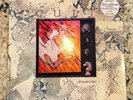 The Cult/Dreamtime/Dreamtime Live At The Lyceum 1984 2 X LP Vinyl Looks Unplayed