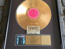 The Hooters RIAA Gold Award Nervous Night All You Zombies - goldene Schallplatte