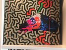 ANIMAL COLLECTIVE - TANGERINE REEF - DOUBLE GREEN VINYL LP (INDIES ONLY)