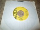 Bent Wind Sacred Cows 45 Canadian Garage Psych