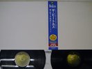 BEATLES WHITE ALBUM APPLE TOJP-60190,1 Japan OBI 2009 REMASTER VINYL 2LP
