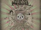 ENTER SHIKARI Take to The Skies LP Vinyl NEW
