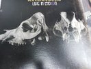 The Raconteurs live in london vinyl Third Man Records