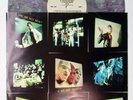 Q: Are We Not Men? A: We Are DEVO  - Devo grey marble vinyl LP never played NM 