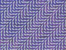 ANIMAL COLLECTIVE - MERRIWEATHER POST PAVILION NEW VINYL