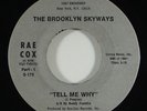 Brooklyn Skyways 