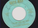 ALPHONSO HAMILTON--I'LL LET YOU GO FREE / INST.--GATE-WAY  AR 629--NORTHERN