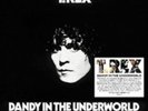 T.Rex-Dandy in the Underworld (UK IMPORT) Vinyl / 12