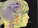 Keith Tippett Dedicated To You But You Weren't Li... vinyl LP  record UK