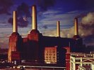 Pink Floyd - Animals 190295996963 (Vinyl Used Very Good)