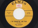 '57 Rocker/Teen RAY VERNON I'm Countin' On You/Terry CAMEO 115 M- HEAR BOTH