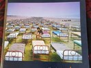 Pink floyd a momentary lapse of reason.... Ltd edition poster and ticket version