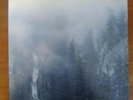 Diadem Of 12 Stars - Wolves in the Throne Room (2xLP) Colored vinyl