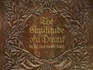 3LP + 2 CD Neal Morse Band The Similitude Of A Dream  Wine red Edt. only 300
