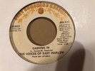 THE VOICES OF EAST HARLEM - CASHING IN / 1973 JUST SUNSHINE RECORDS  JSA -510 NM