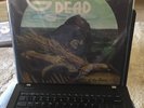 GRATEFUL DEAD Wake Of The Flood MOFI -ORIGINAL MASTER RECORDING -MINT VINYL