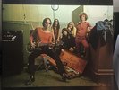 Flamin' Groovies **STILL SEALED** Vinyl TEENAGE HEAD Kama Sutra 1971 USA
