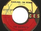 Doo Wop R&B 45 THE MANDELLS 