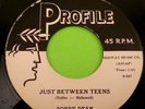 Bobby Dean Just Between Teens It's a Fad Ma White Label Profile Records 4006 45