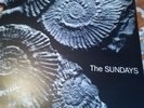 The Sundays indie Reading Writing & arithmatic rare vinyl LP