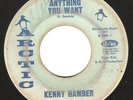 Northern Soul 45 KENNY HAMBER 