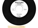 The Voyagers Feature Records Janesville Wisconsin 1967