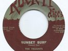 SURF 45 - TRUANTS 