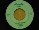 Illusions michigan garage 45 City of People / Wait Till the Summer on Michelle
