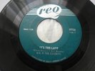 The Escorts Someday Fool 45 rpm Record Fuzz Psych 1967 Canada Garage Rock