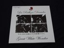 Les Rallizes Denudes - Great White Wonder 5x LP Box Set japan psych avant