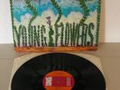 YOUNG FLOWERS Blomsterpistolen DK Sonet 1971-75 2nd pressing *EX* LP Psych