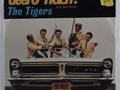 Surf Hot Rod 45 TIGERS GeeTO Tiger COLPIX picture sleeve HEAR