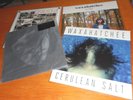 Waxahatchee SEALED: American Weekend, Cerulean Salt, Ivy Tripp, Out In The Storm